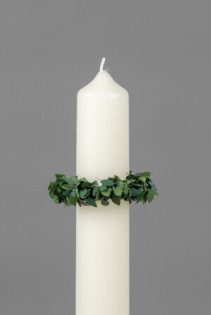 Holzbildhauer Boegemann Tropschutz